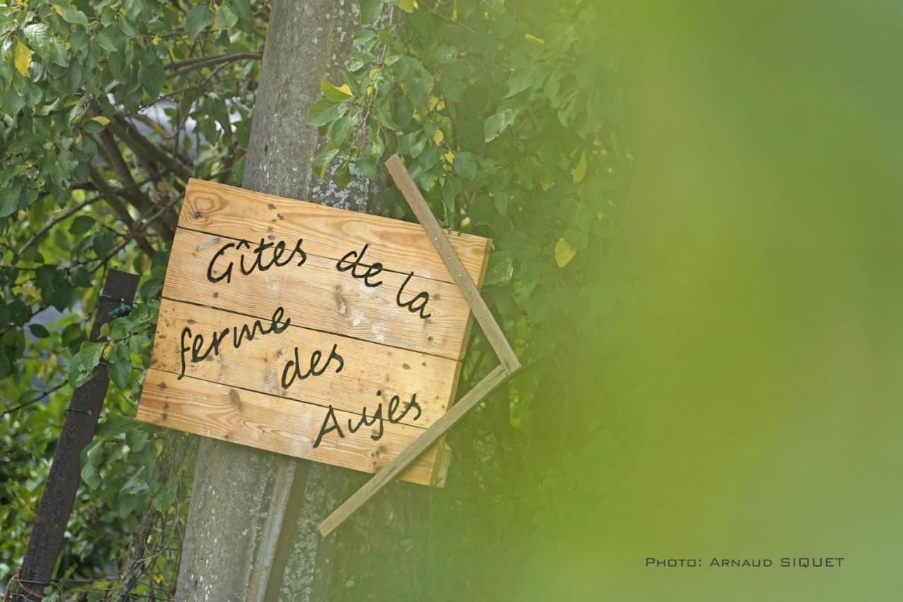 Gite Familial Ferme Des Aujes Falaen Onhaye Экстерьер фото